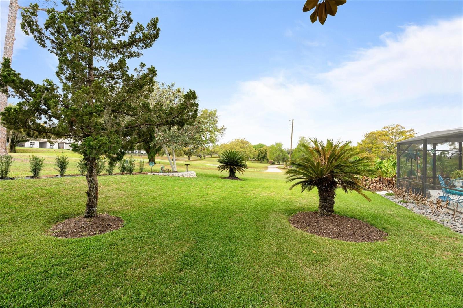 14611 GREEN VALLEY BLVD, CLERMONT, FL, 34711