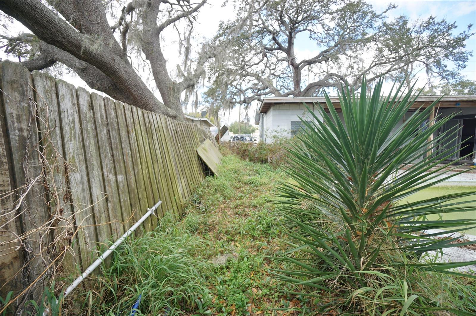 4911 N HABANA AVE, TAMPA, FL, 33614