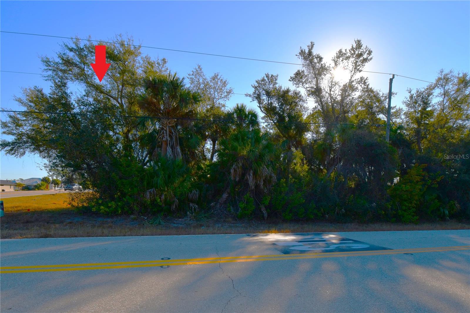 17255 WINTERGARDEN AVE, PORT CHARLOTTE, FL, 33948