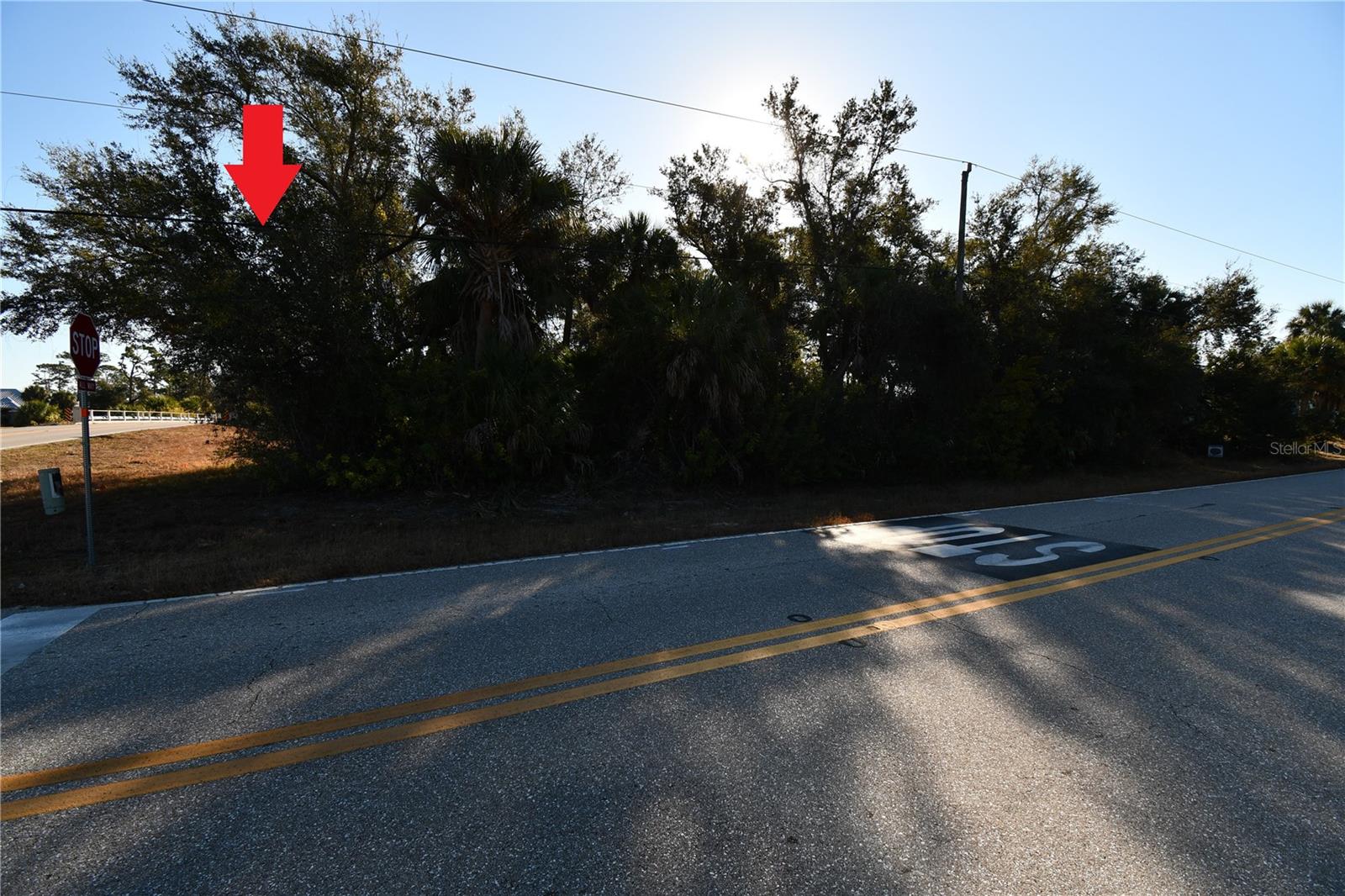17255 WINTERGARDEN AVE, PORT CHARLOTTE, FL, 33948