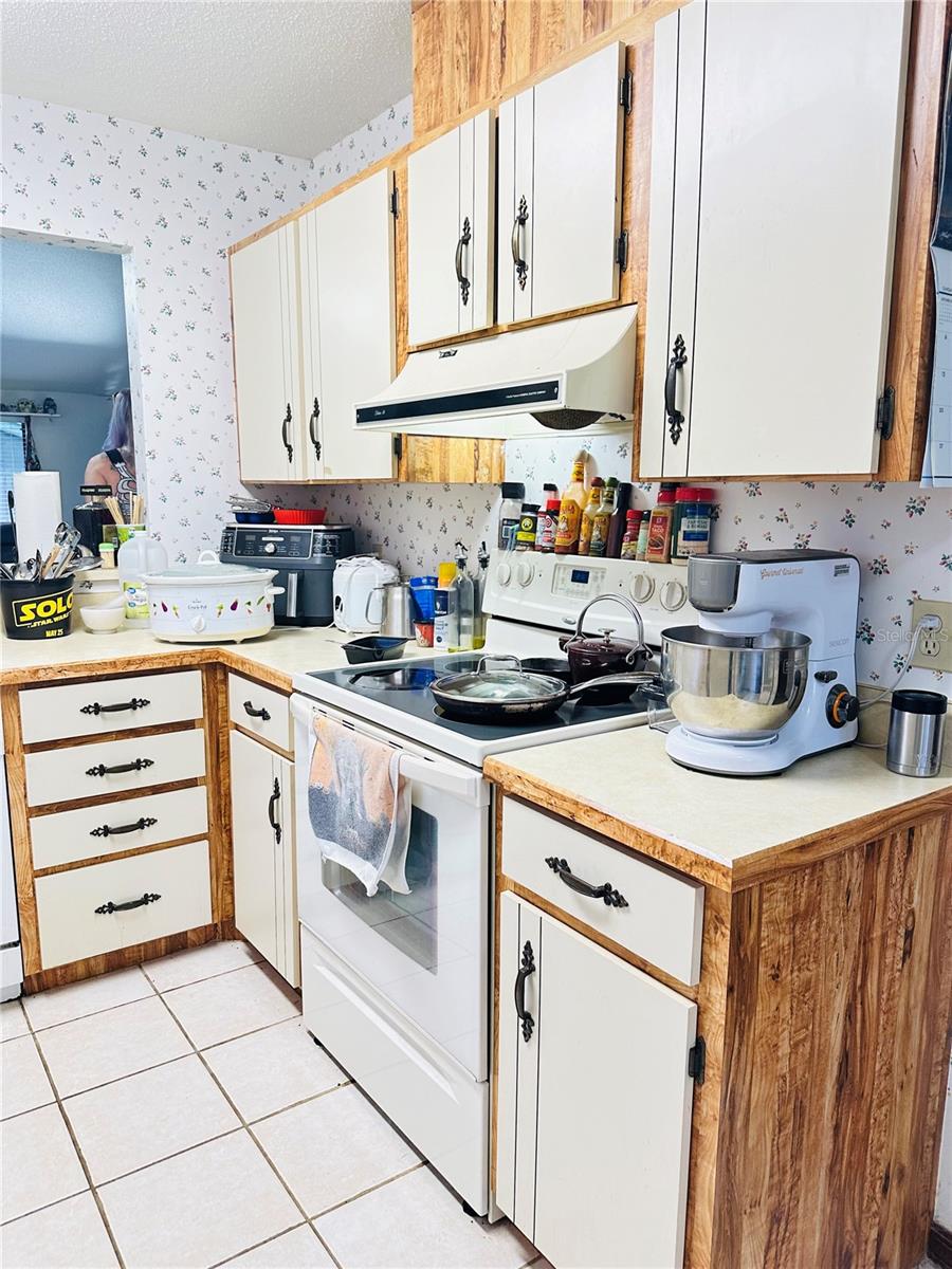156 LAKEWOOD VILLAGE CIR, DAYTONA BEACH, FL, 32119