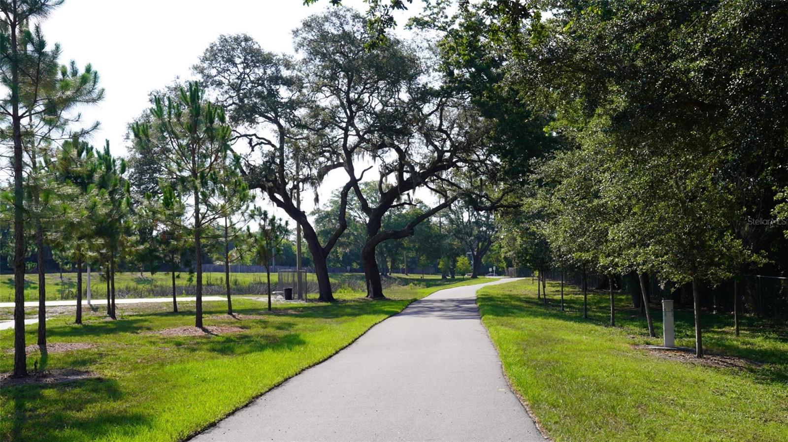 1600 N OLD COACHMAN RD RD #806, CLEARWATER, FL, 33765