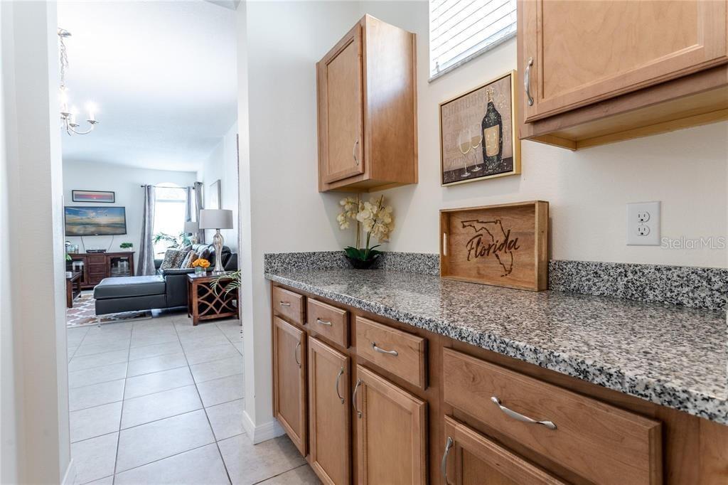 446 ORANGE COSMOS BLVD, DAVENPORT, FL, 33837