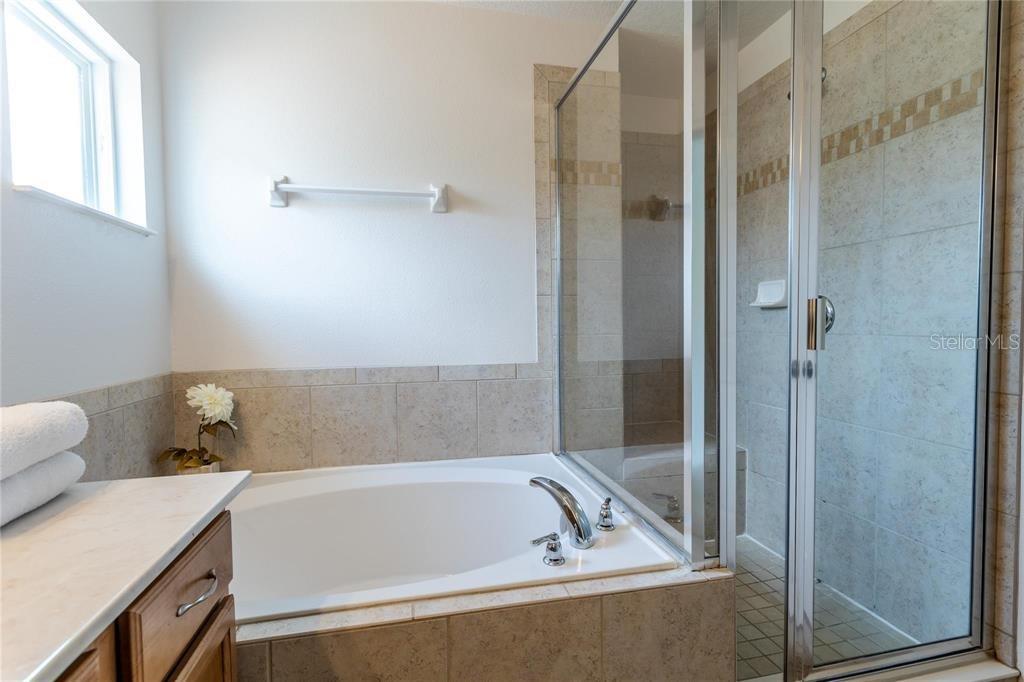 446 ORANGE COSMOS BLVD, DAVENPORT, FL, 33837