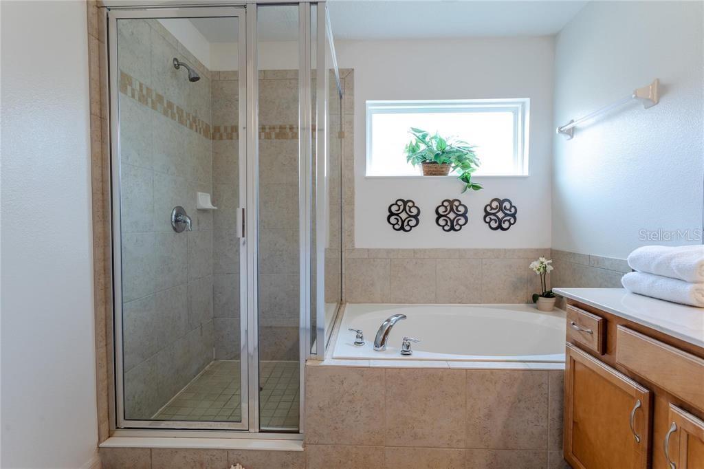 446 ORANGE COSMOS BLVD, DAVENPORT, FL, 33837