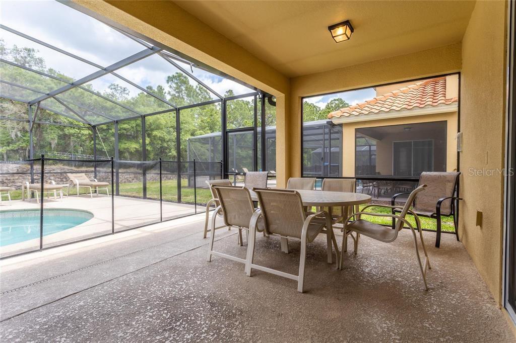 446 ORANGE COSMOS BLVD, DAVENPORT, FL, 33837