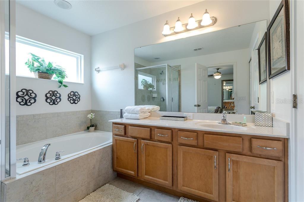 446 ORANGE COSMOS BLVD, DAVENPORT, FL, 33837