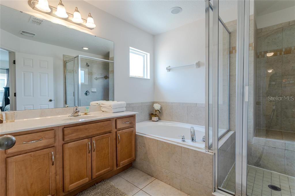 446 ORANGE COSMOS BLVD, DAVENPORT, FL, 33837