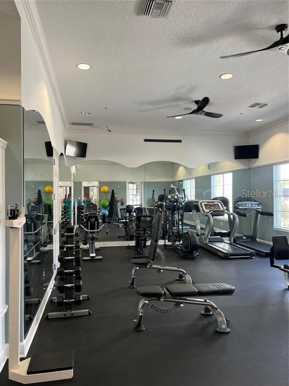 446 ORANGE COSMOS BLVD, DAVENPORT, FL, 33837