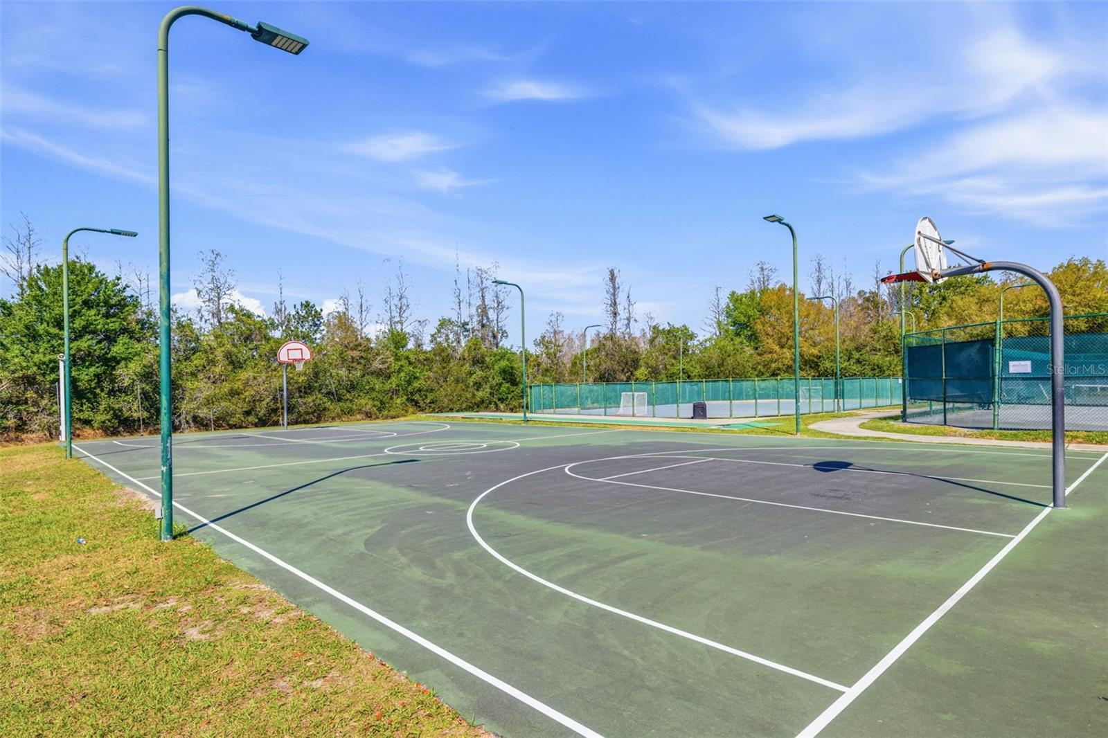 4103 HERITAGE LAKE CT, LUTZ, FL, 33558