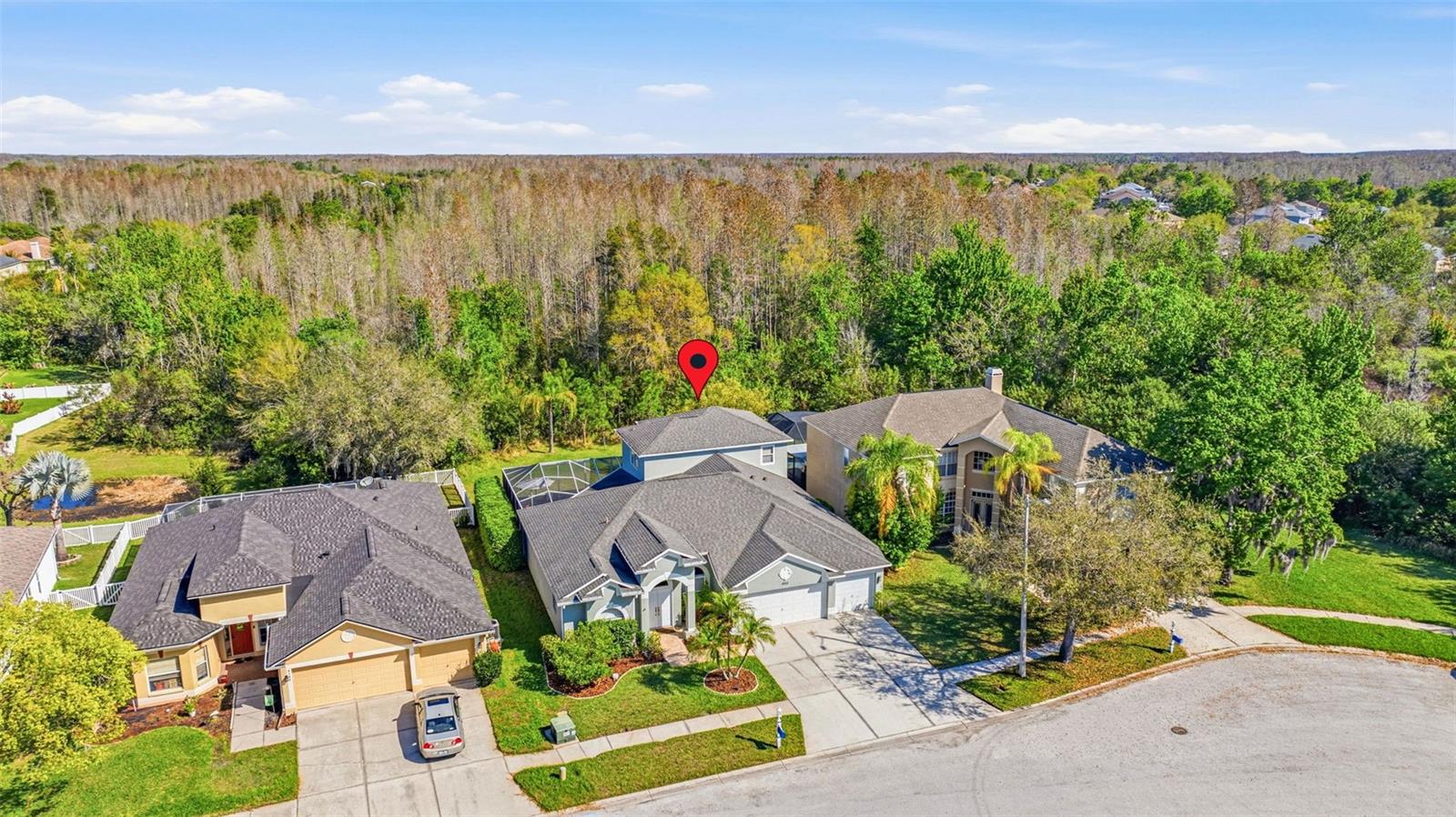 4103 HERITAGE LAKE CT, LUTZ, FL, 33558