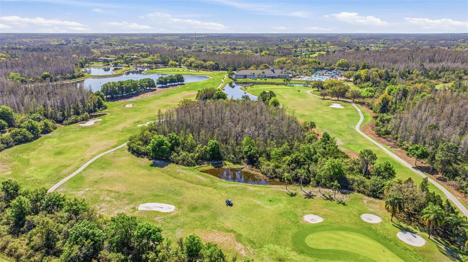 4103 HERITAGE LAKE CT, LUTZ, FL, 33558