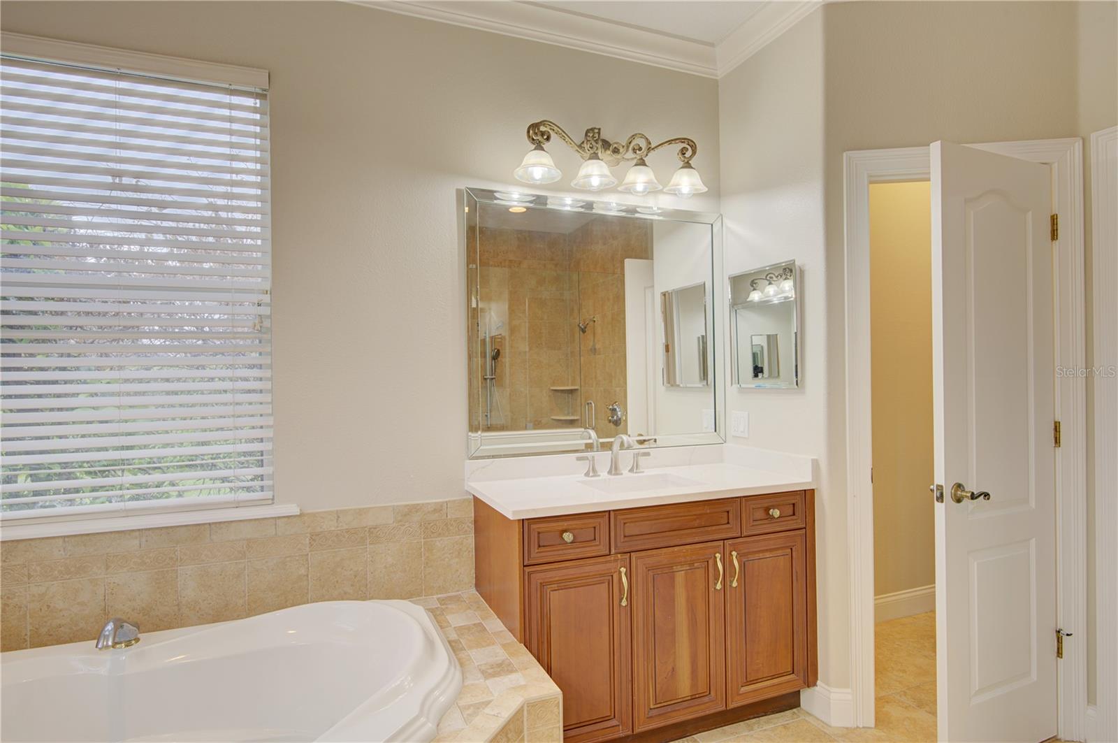 916 MILLS ESTATE PL, CHULUOTA, FL, 32766