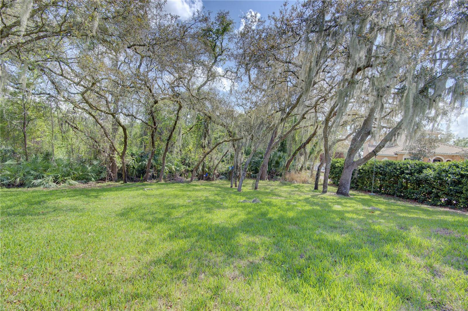 916 MILLS ESTATE PL, CHULUOTA, FL, 32766