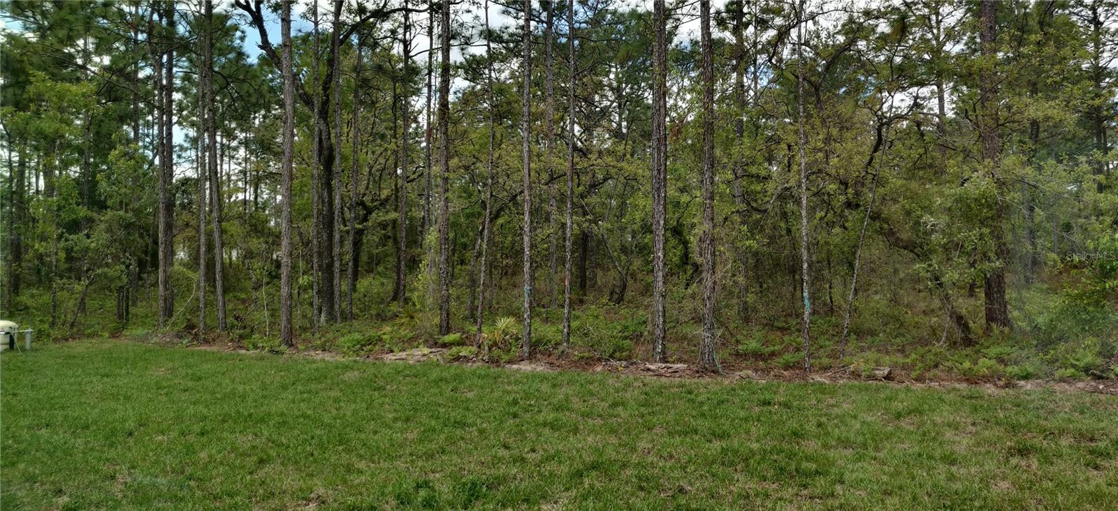 16295 POMP PKWY, WEEKI WACHEE, FL, 34614