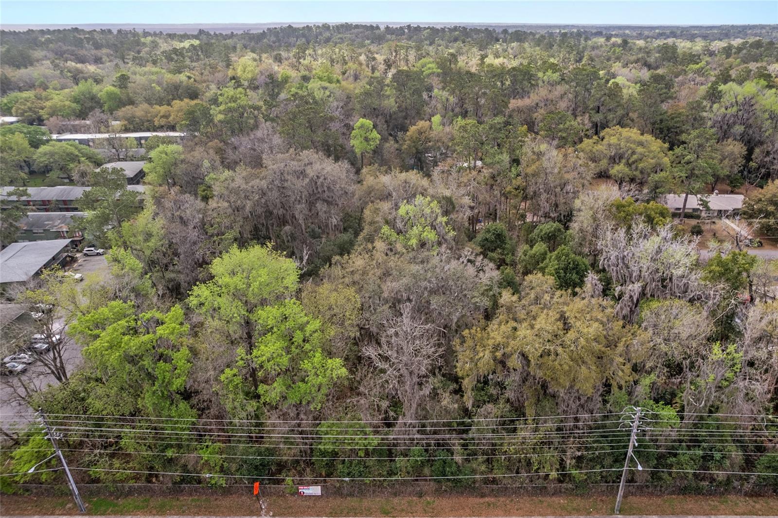 SW 16TH PL, GAINESVILLE, FL, 32601