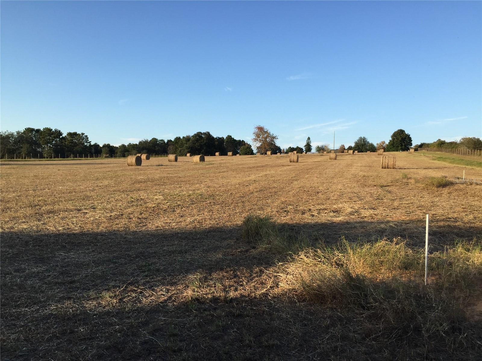 22435 COUNTY ROAD 455, HOWEY IN THE HILLS, FL, 34737
