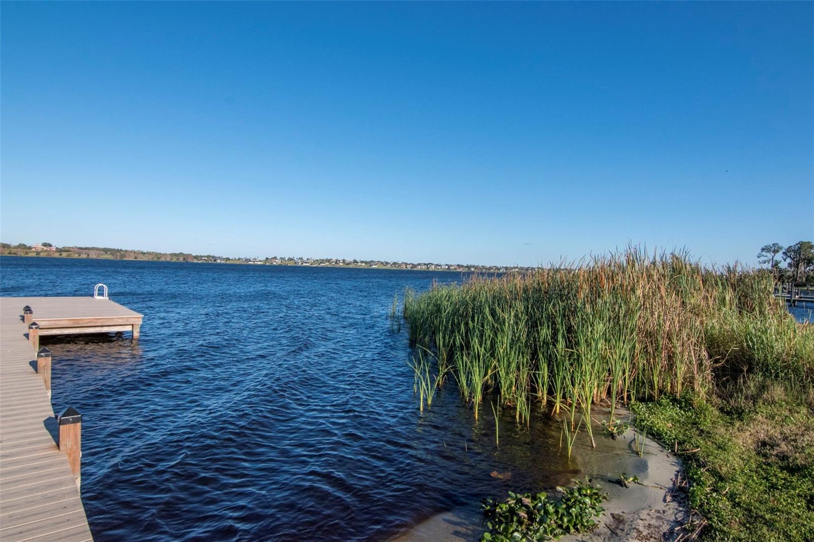 169 SUMMERSHORE DR, AUBURNDALE, FL, 33823