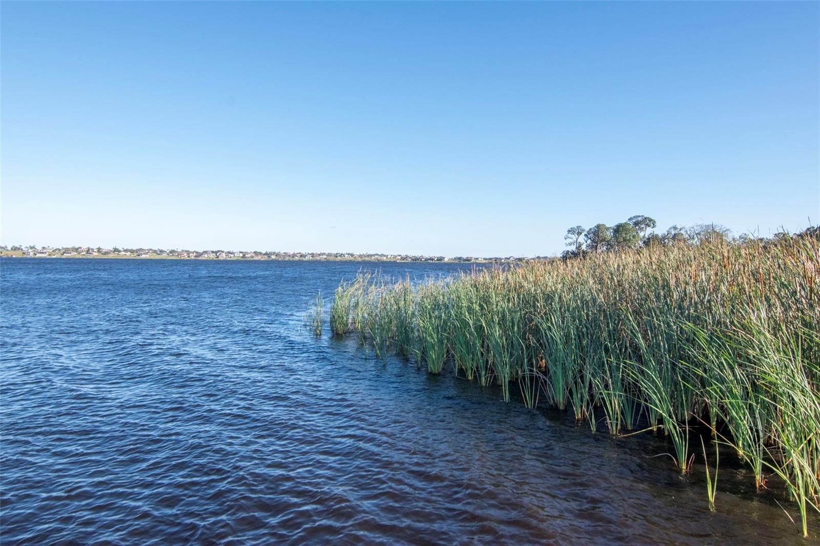 169 SUMMERSHORE DR, AUBURNDALE, FL, 33823