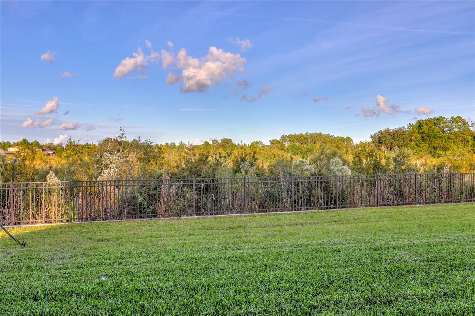 3124 HILLIARD DR, WESLEY CHAPEL, FL, 33543