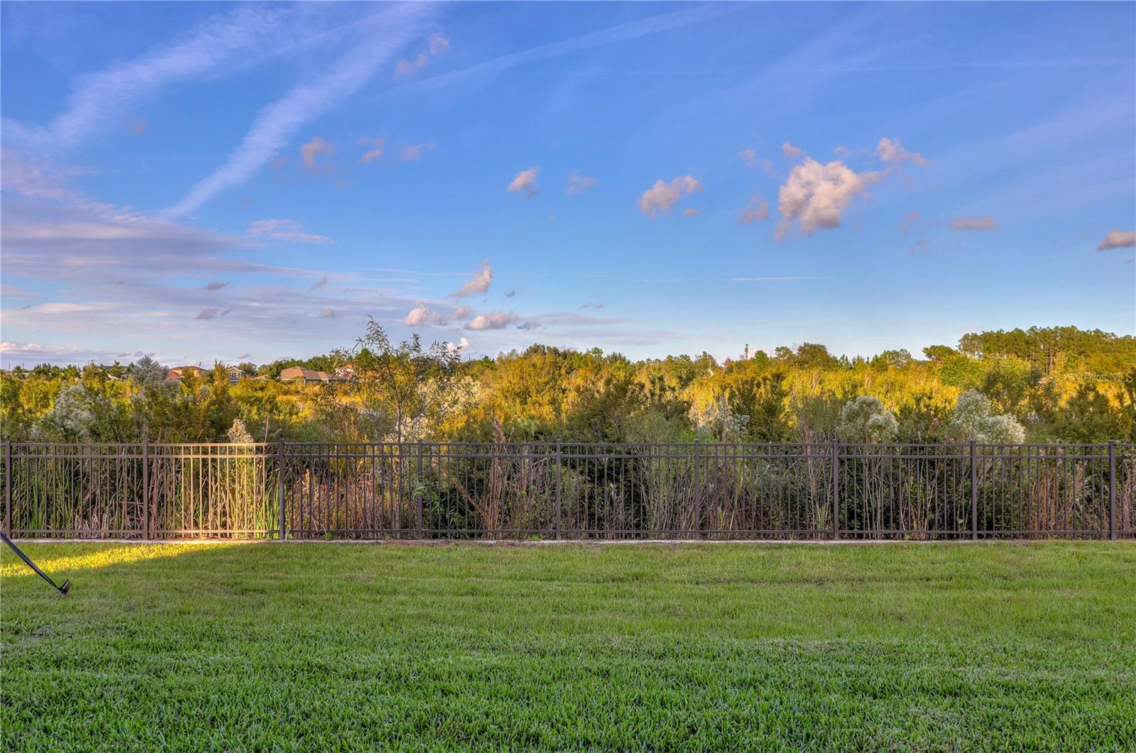 3124 HILLIARD DR, WESLEY CHAPEL, FL, 33543