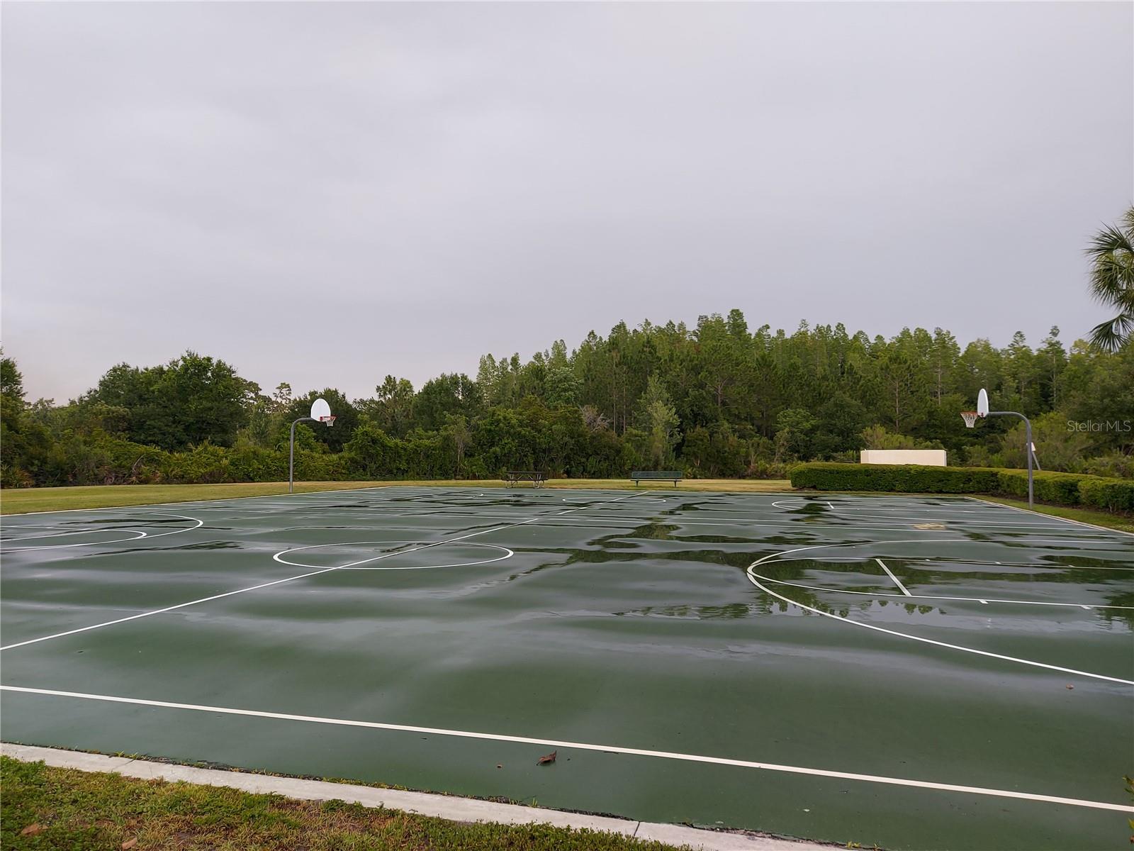 3124 HILLIARD DR, WESLEY CHAPEL, FL, 33543