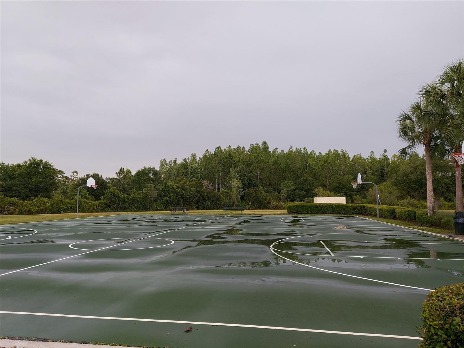 3124 HILLIARD DR, WESLEY CHAPEL, FL, 33543