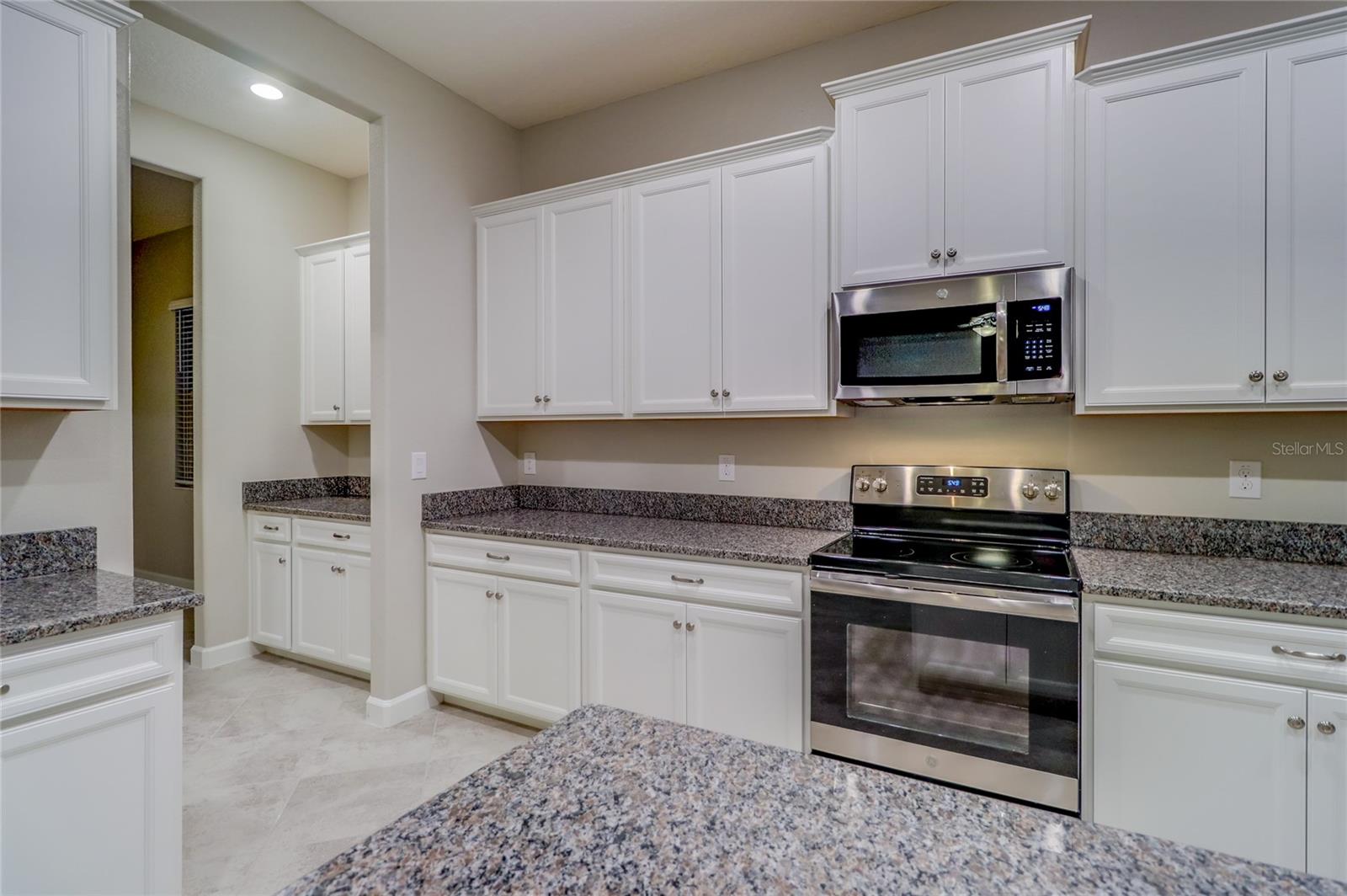 3124 HILLIARD DR, WESLEY CHAPEL, FL, 33543