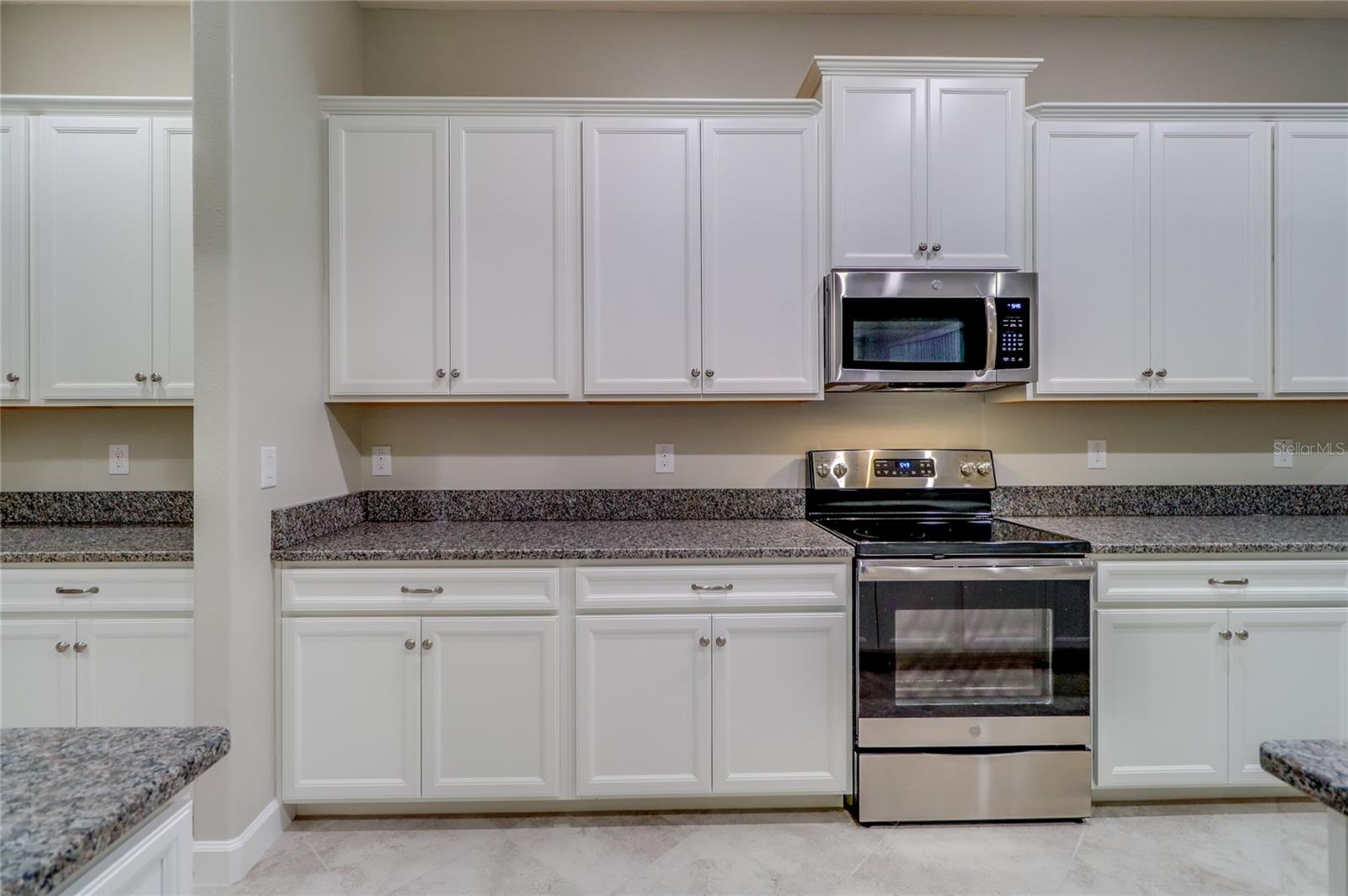 3124 HILLIARD DR, WESLEY CHAPEL, FL, 33543