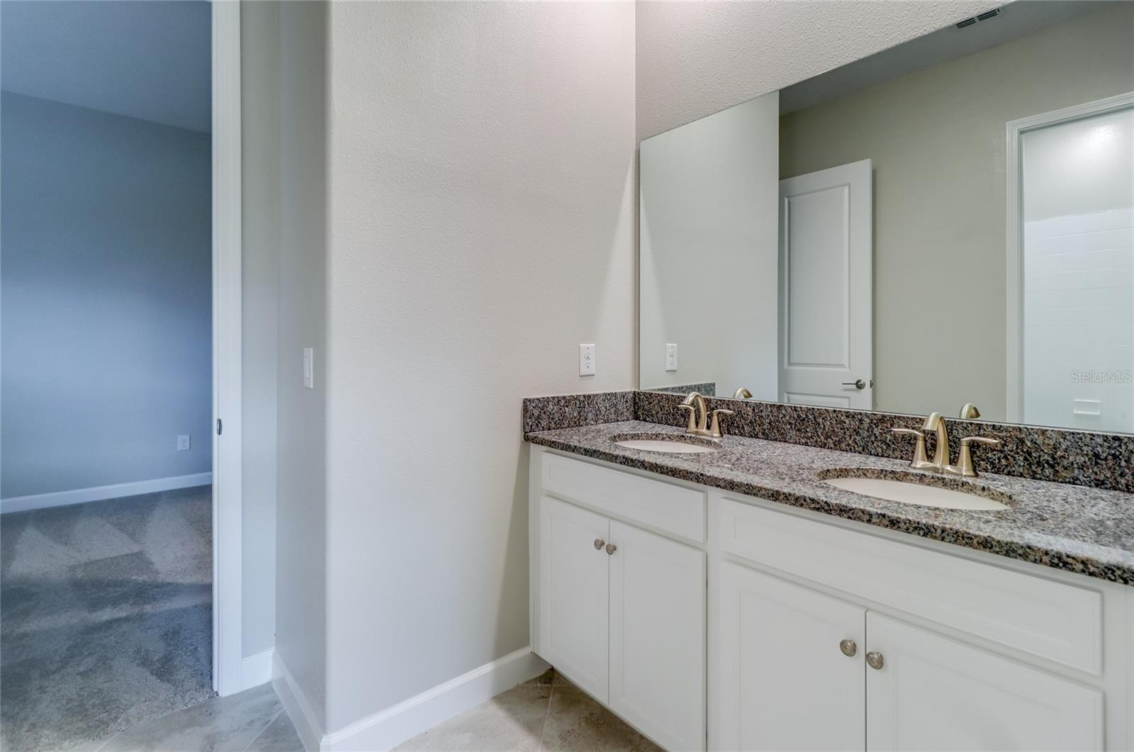 3124 HILLIARD DR, WESLEY CHAPEL, FL, 33543