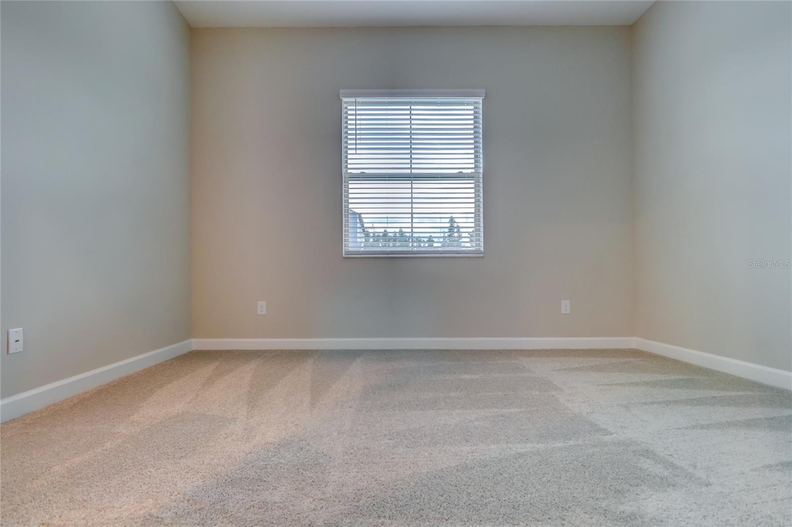 3124 HILLIARD DR, WESLEY CHAPEL, FL, 33543