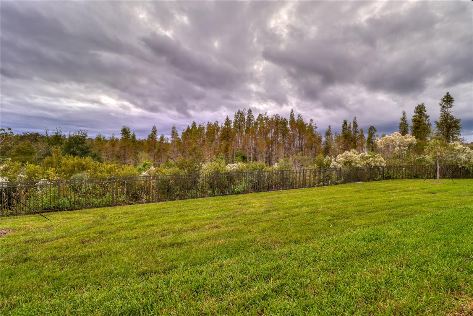 3124 HILLIARD DR, WESLEY CHAPEL, FL, 33543