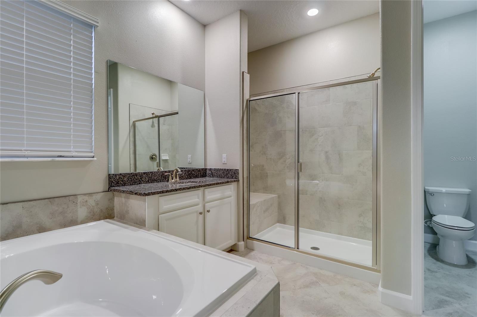 3124 HILLIARD DR, WESLEY CHAPEL, FL, 33543