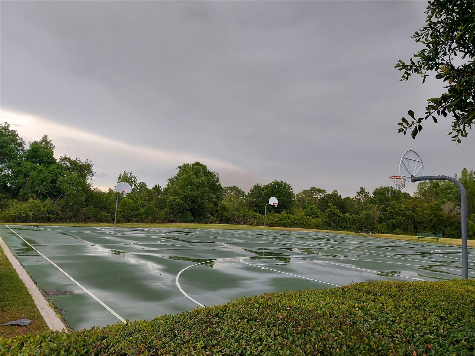3124 HILLIARD DR, WESLEY CHAPEL, FL, 33543