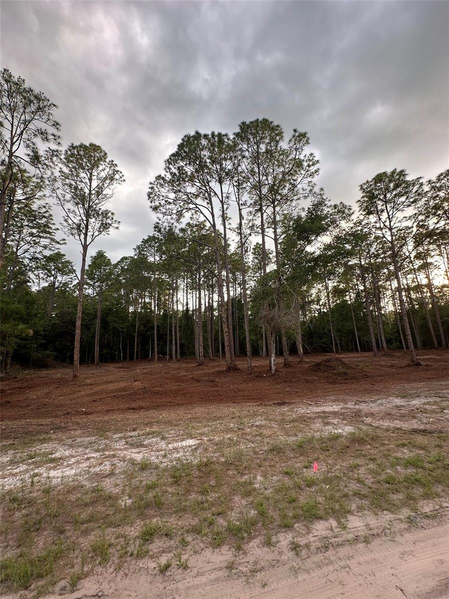127 LONGTREE ST, GEORGETOWN, FL, 32139