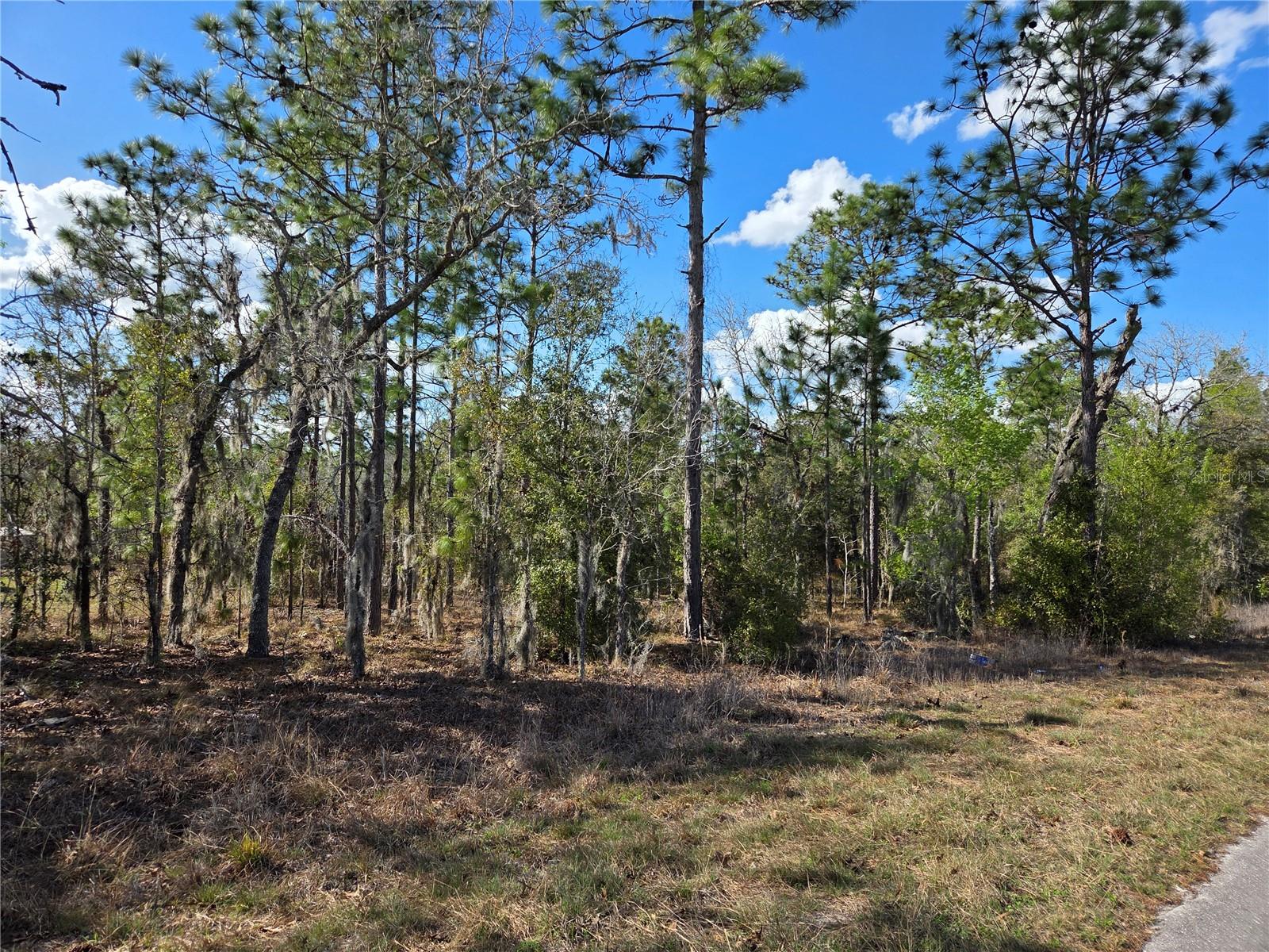 tbd NE 14TH PL, WILLISTON, FL, 32696