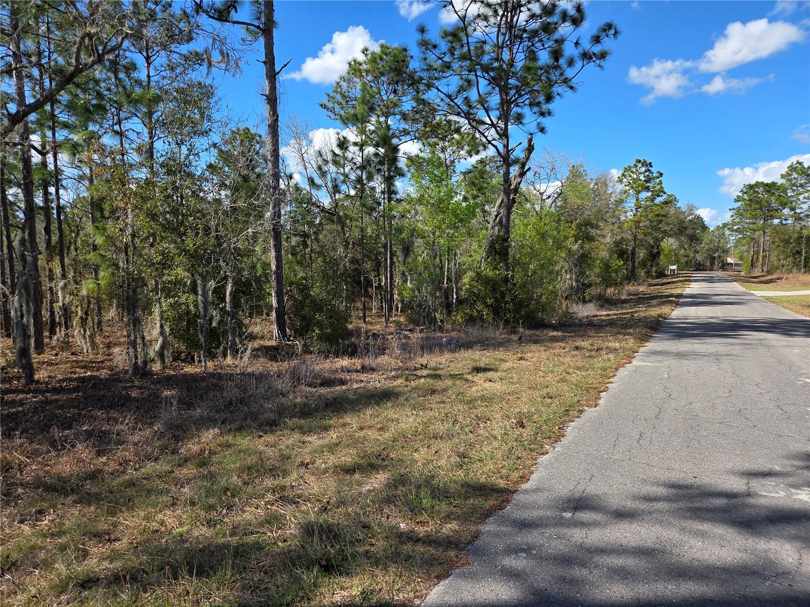 tbd NE 14TH PL, WILLISTON, FL, 32696