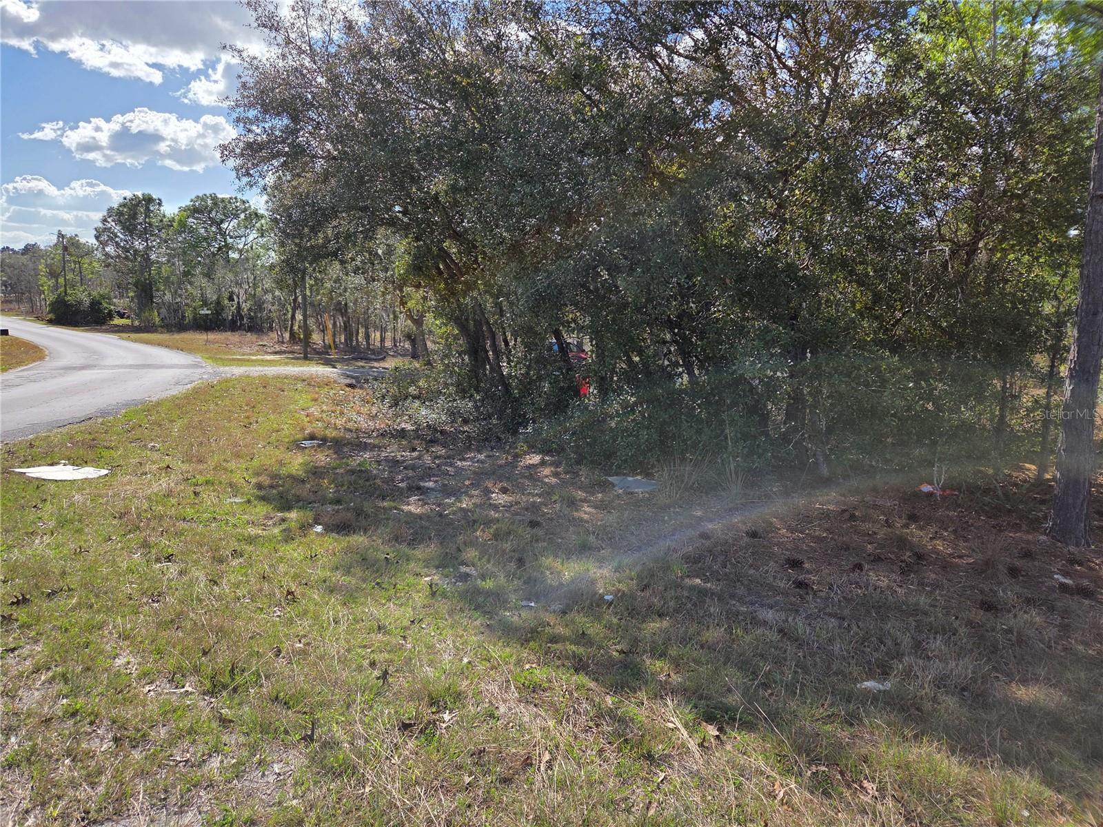 tbd NE 14TH PL, WILLISTON, FL, 32696