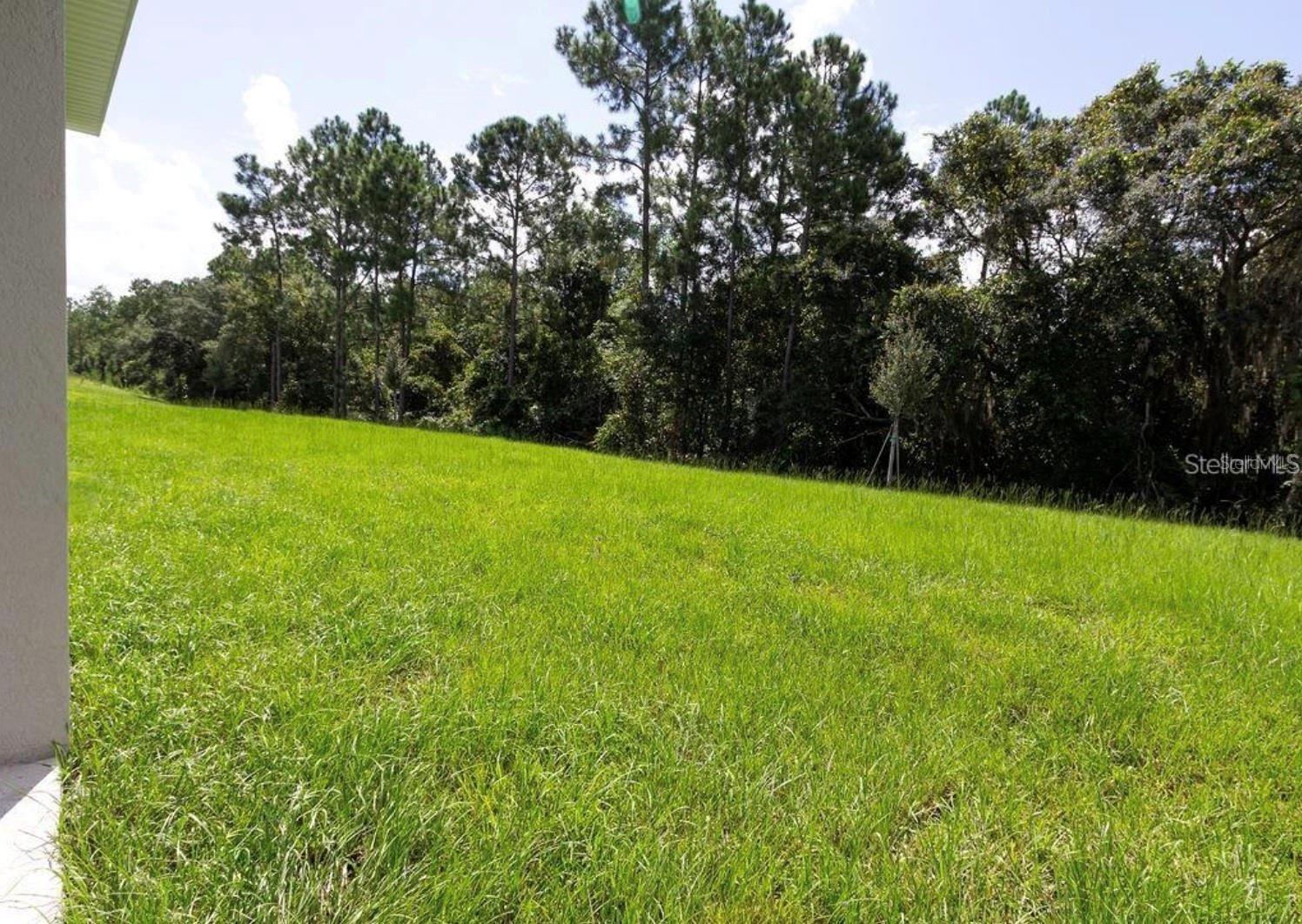 16451 GLASSY LOCH LOOP, CLERMONT, FL, 34714