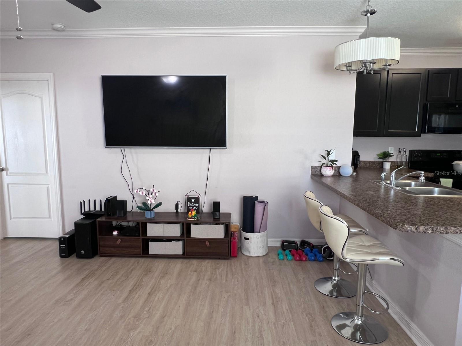 10120 HAWK STORM AVE, TAMPA, FL, 33610