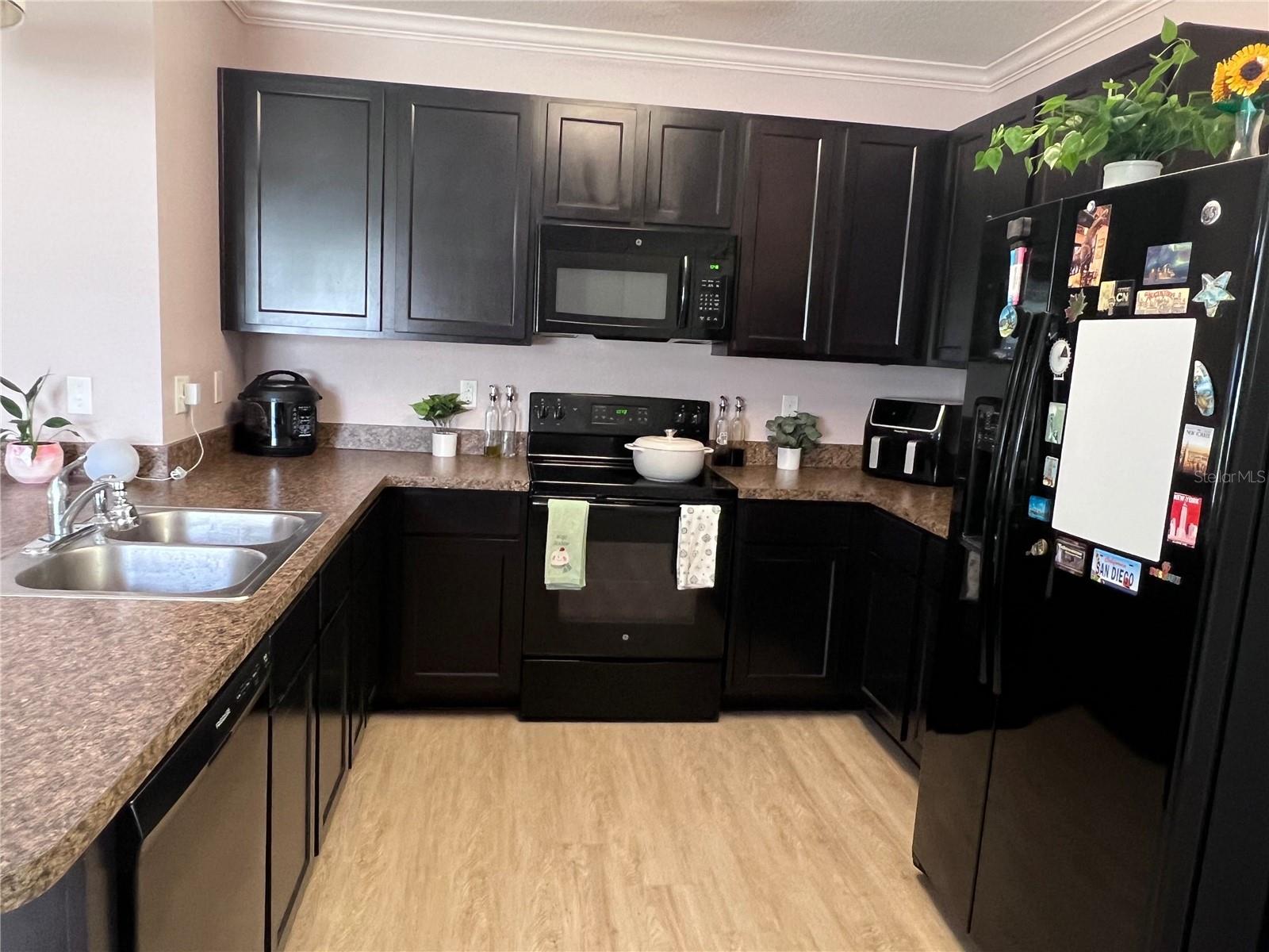 10120 HAWK STORM AVE, TAMPA, FL, 33610