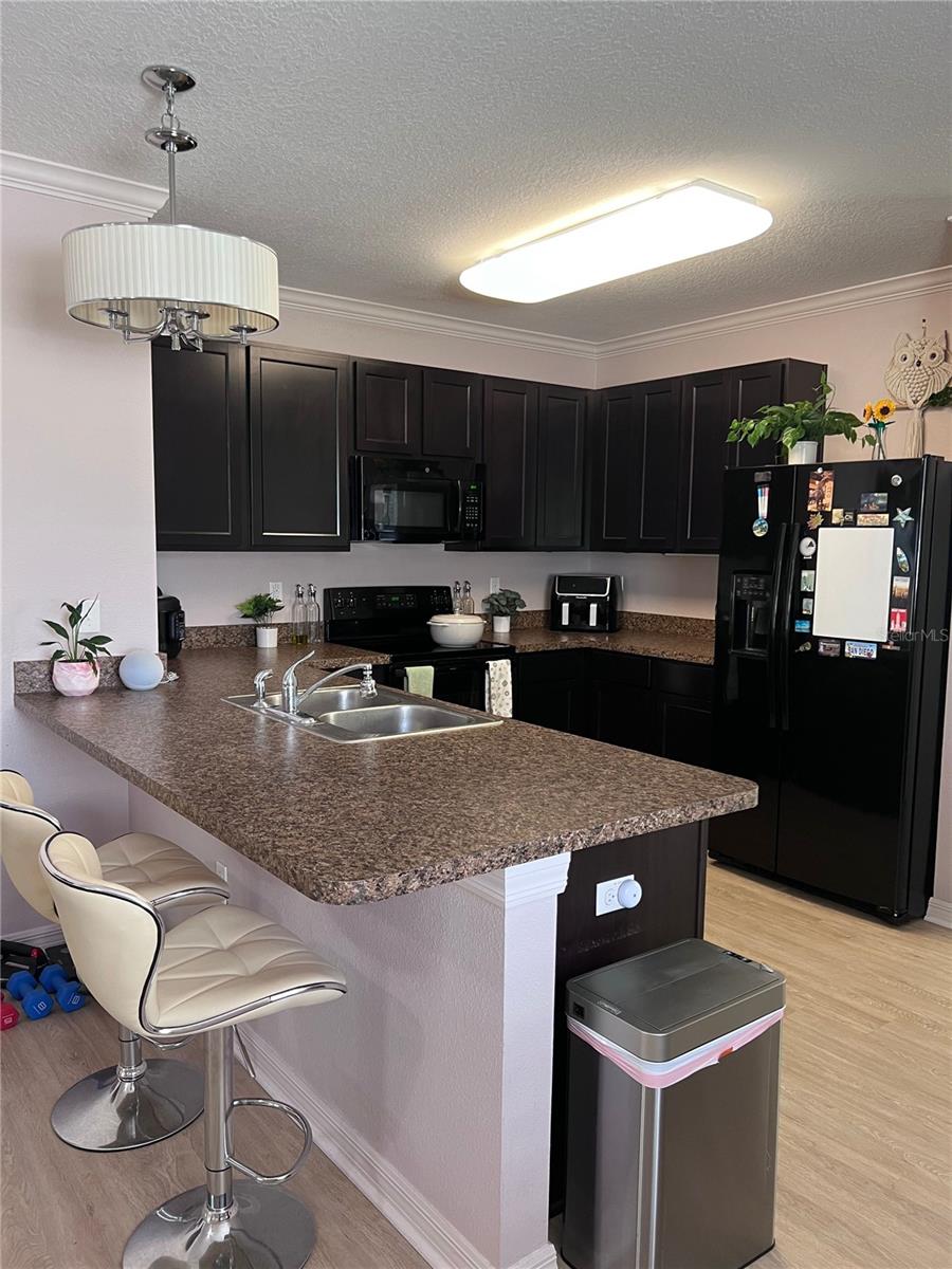10120 HAWK STORM AVE, TAMPA, FL, 33610