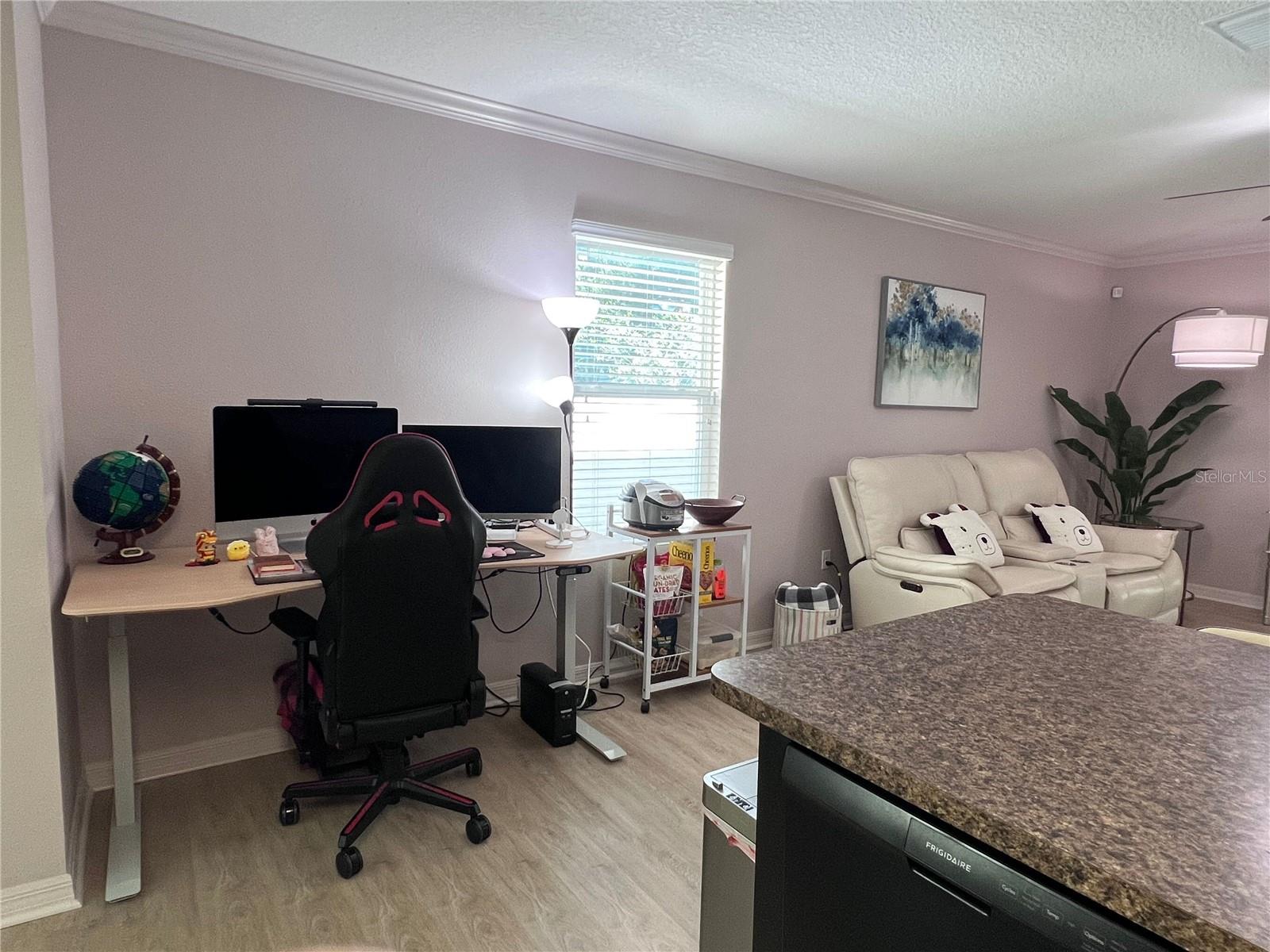 10120 HAWK STORM AVE, TAMPA, FL, 33610