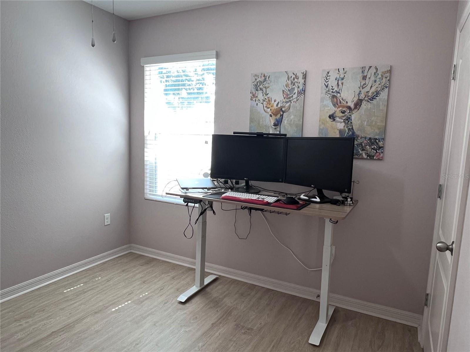 10120 HAWK STORM AVE, TAMPA, FL, 33610