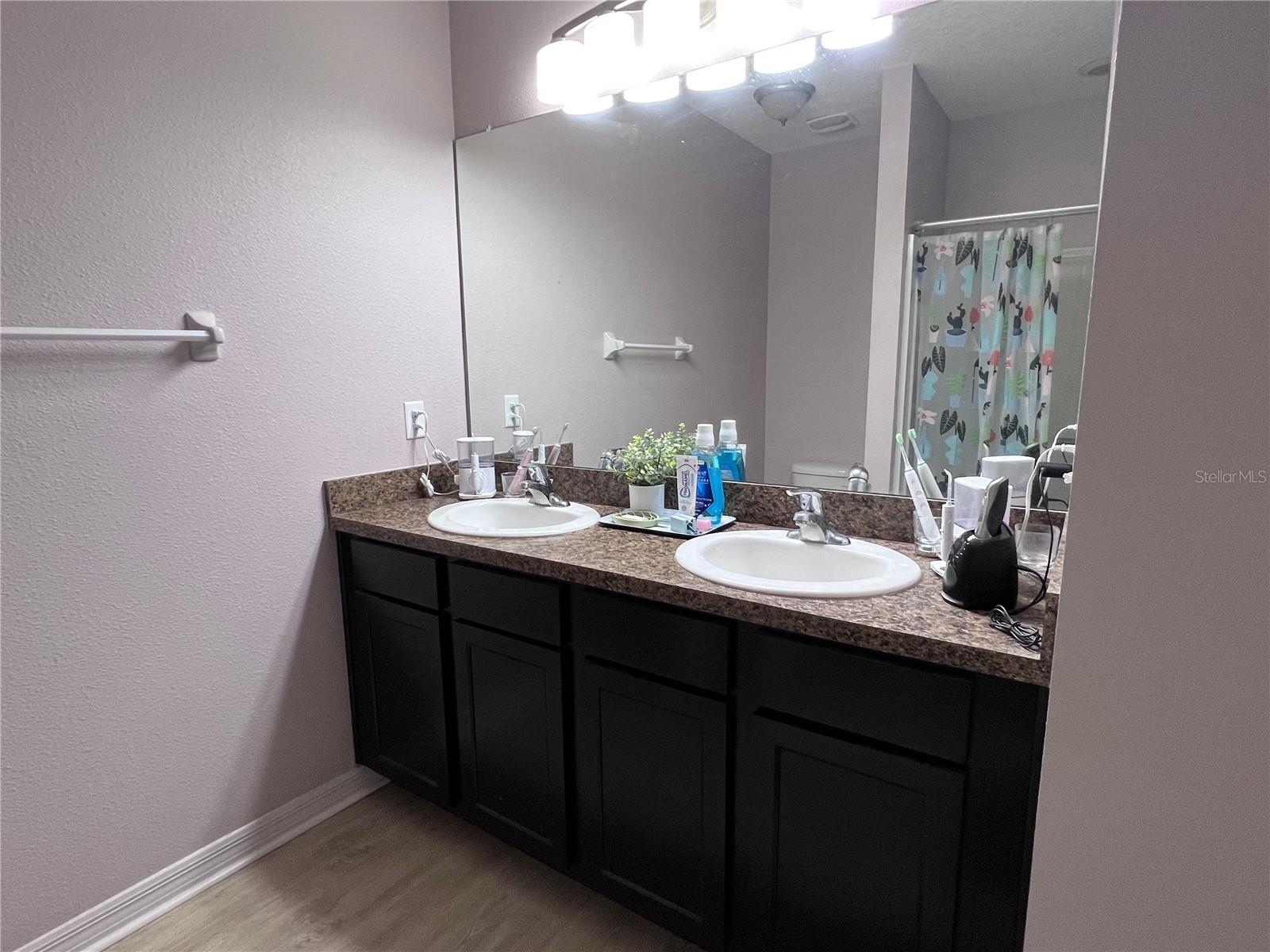 10120 HAWK STORM AVE, TAMPA, FL, 33610