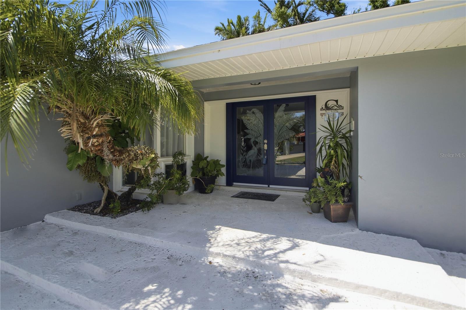 Beautiful glass etched double front doors