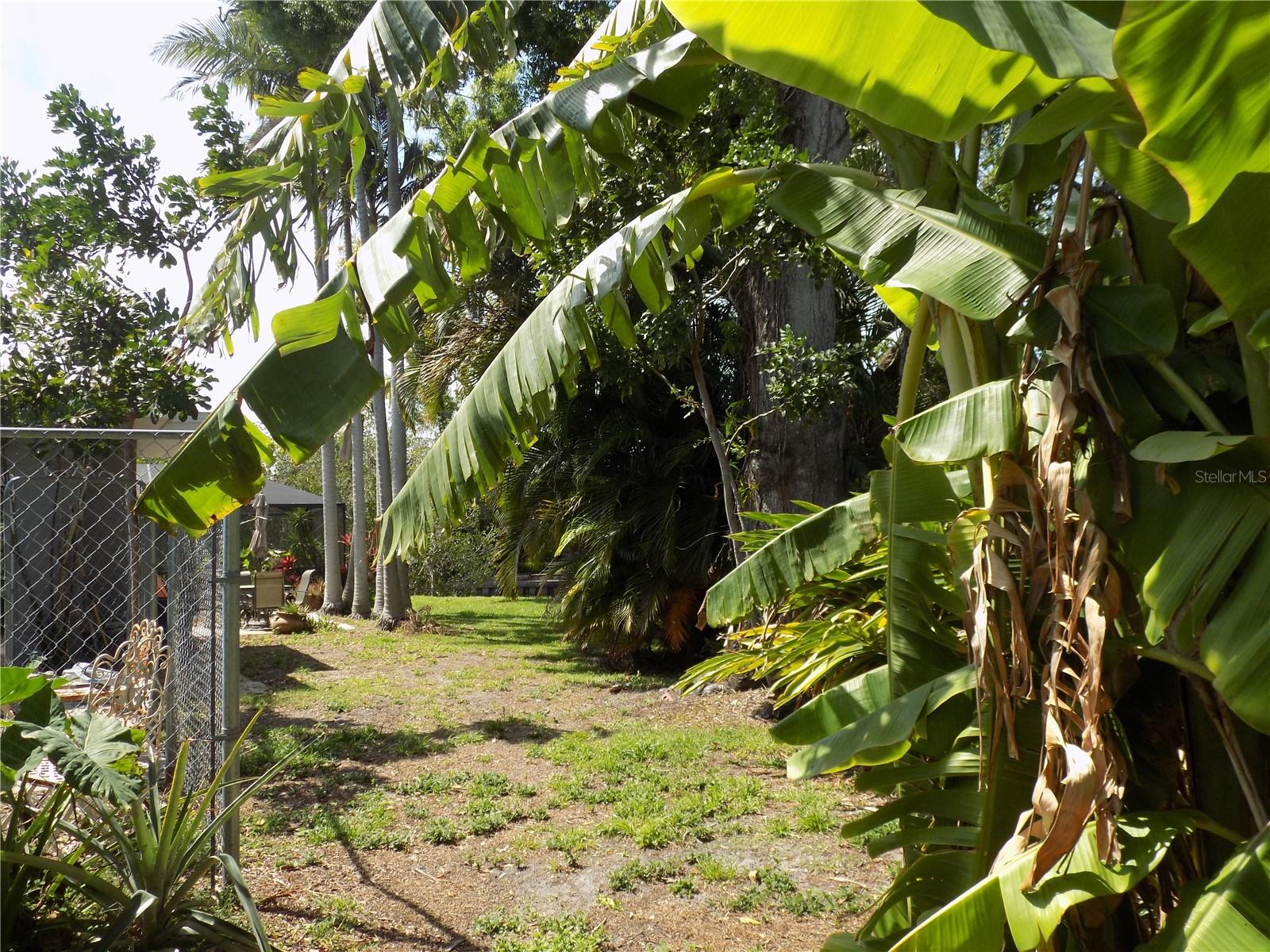 Turn the corner and enter your own tropical oasis.