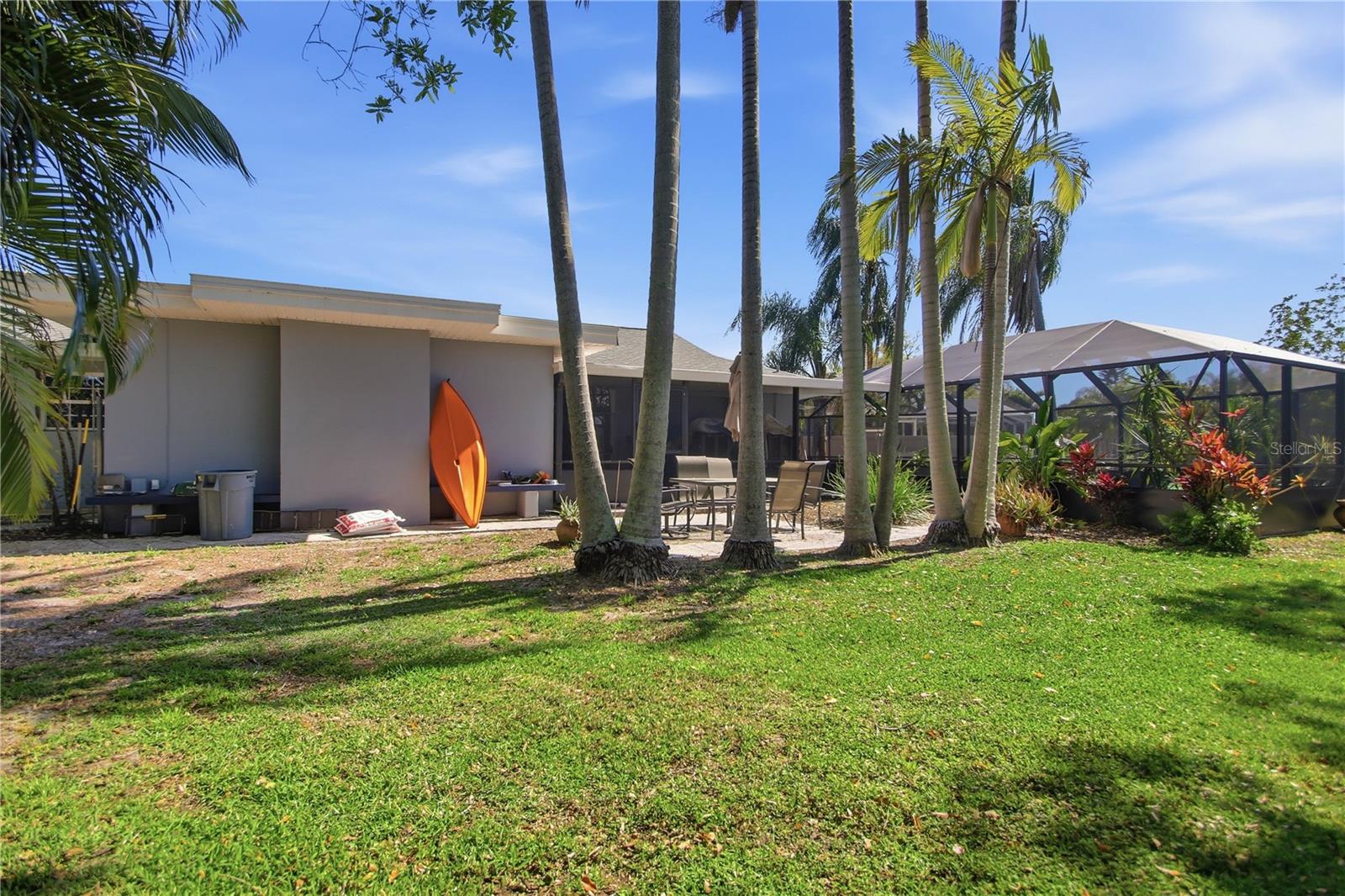 There is a variety of vegetation in your back yard including these very tall palm trees