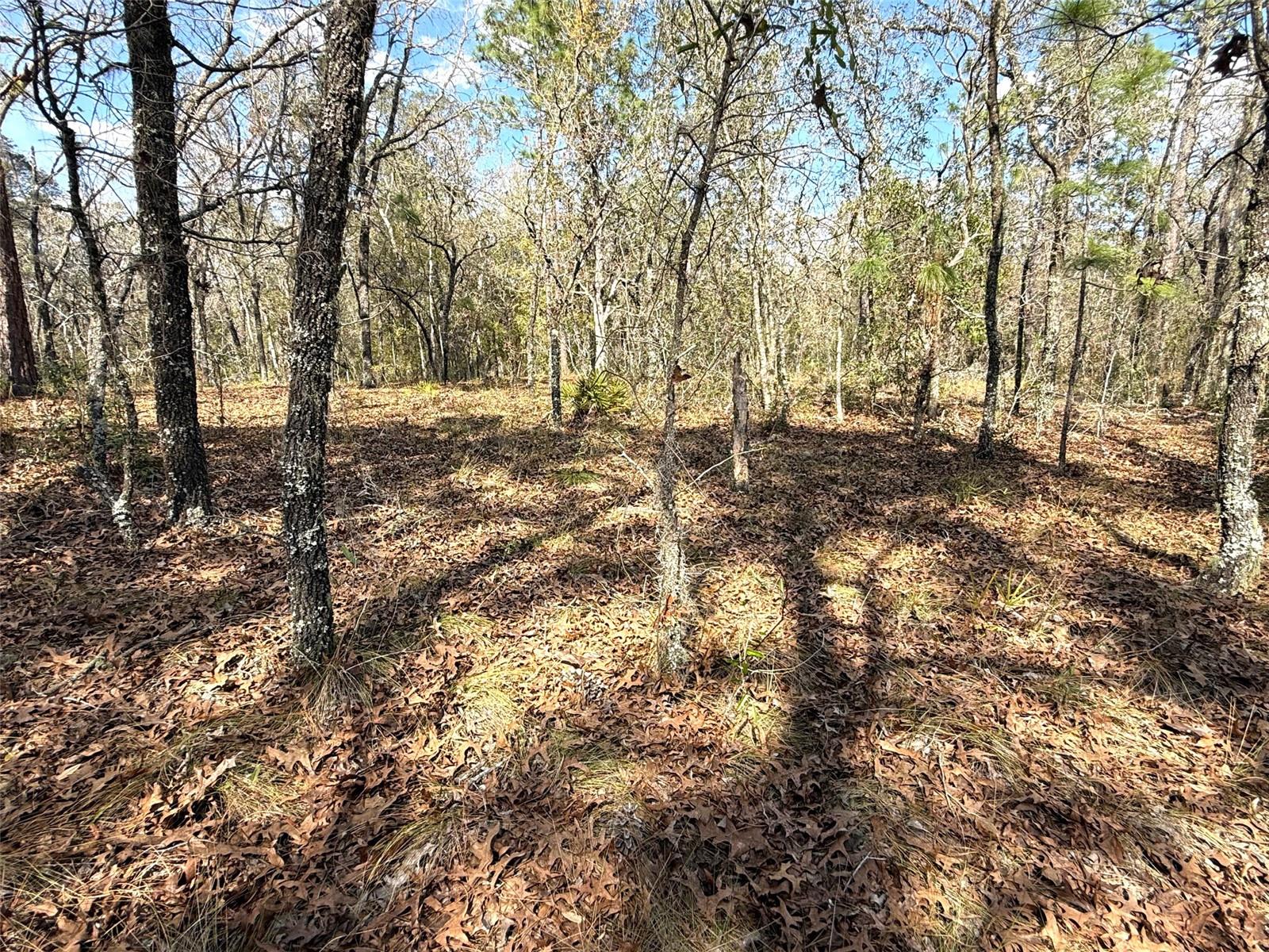 TBD SW 85TH PL, DUNNELLON, FL, 34432