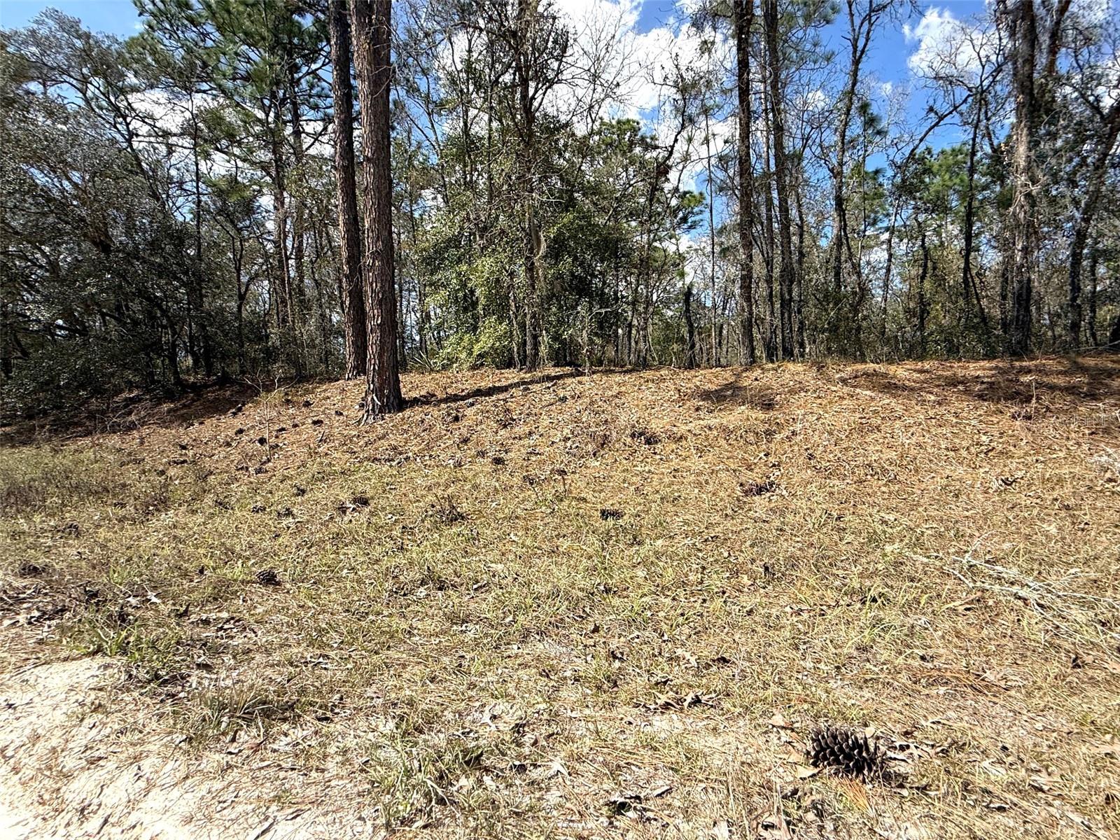 TBD SW 85TH PL, DUNNELLON, FL, 34432